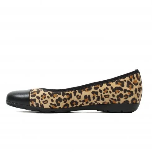 Gabor Women's 34.161.42 Cap Toe Ballerina Flat - Natural/Black Leopard Print