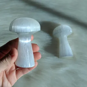 Magical Selenite Mushroom Carving (one)