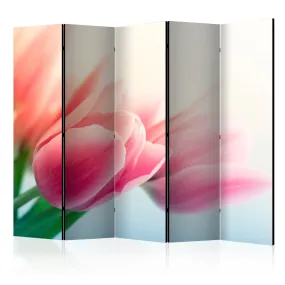 Paravento Spring and tulips II [Room Dividers]