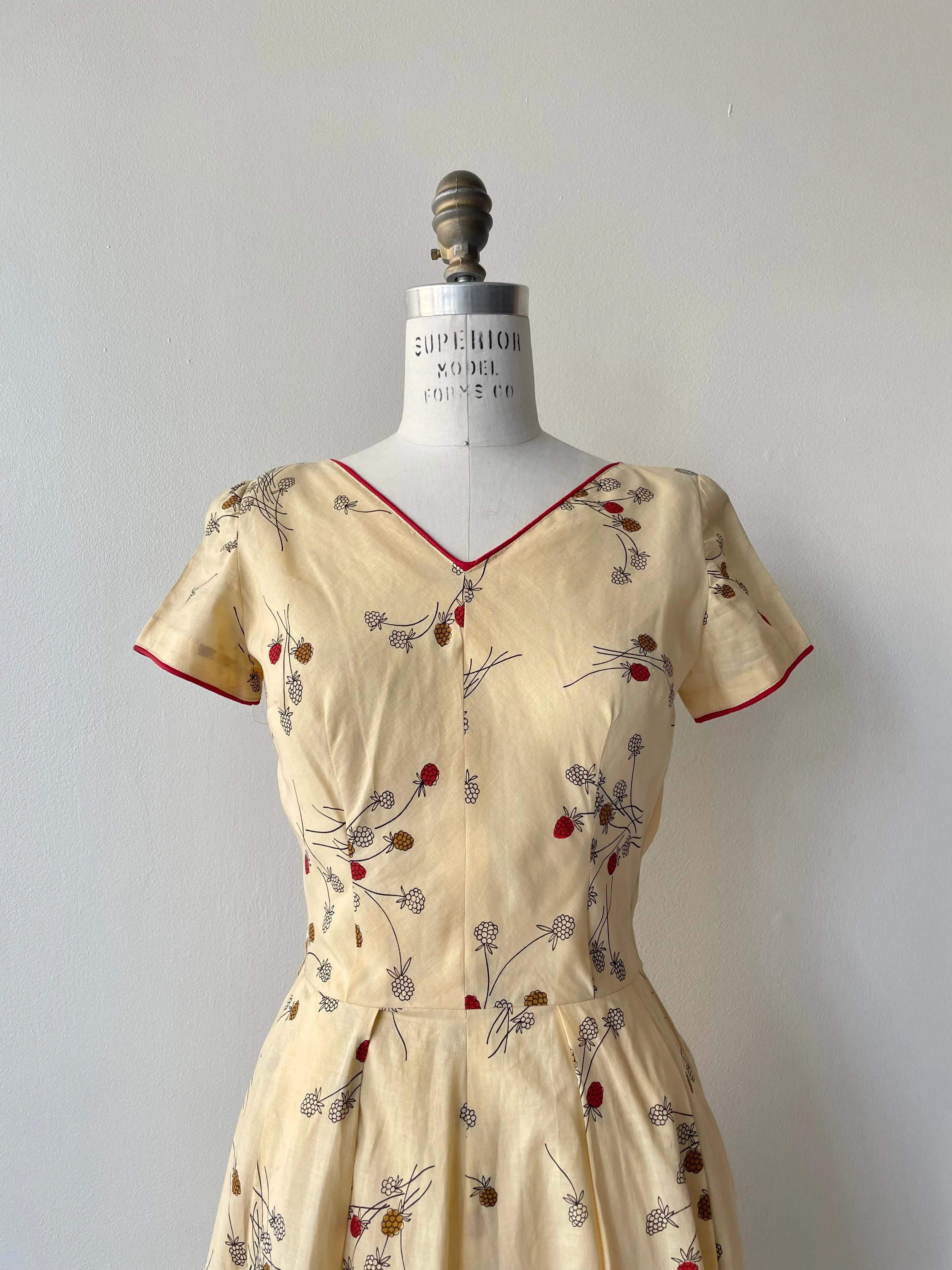 Raspberry Patch Dress | 1950s