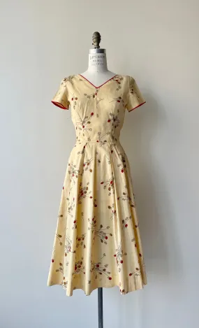 Raspberry Patch Dress | 1950s