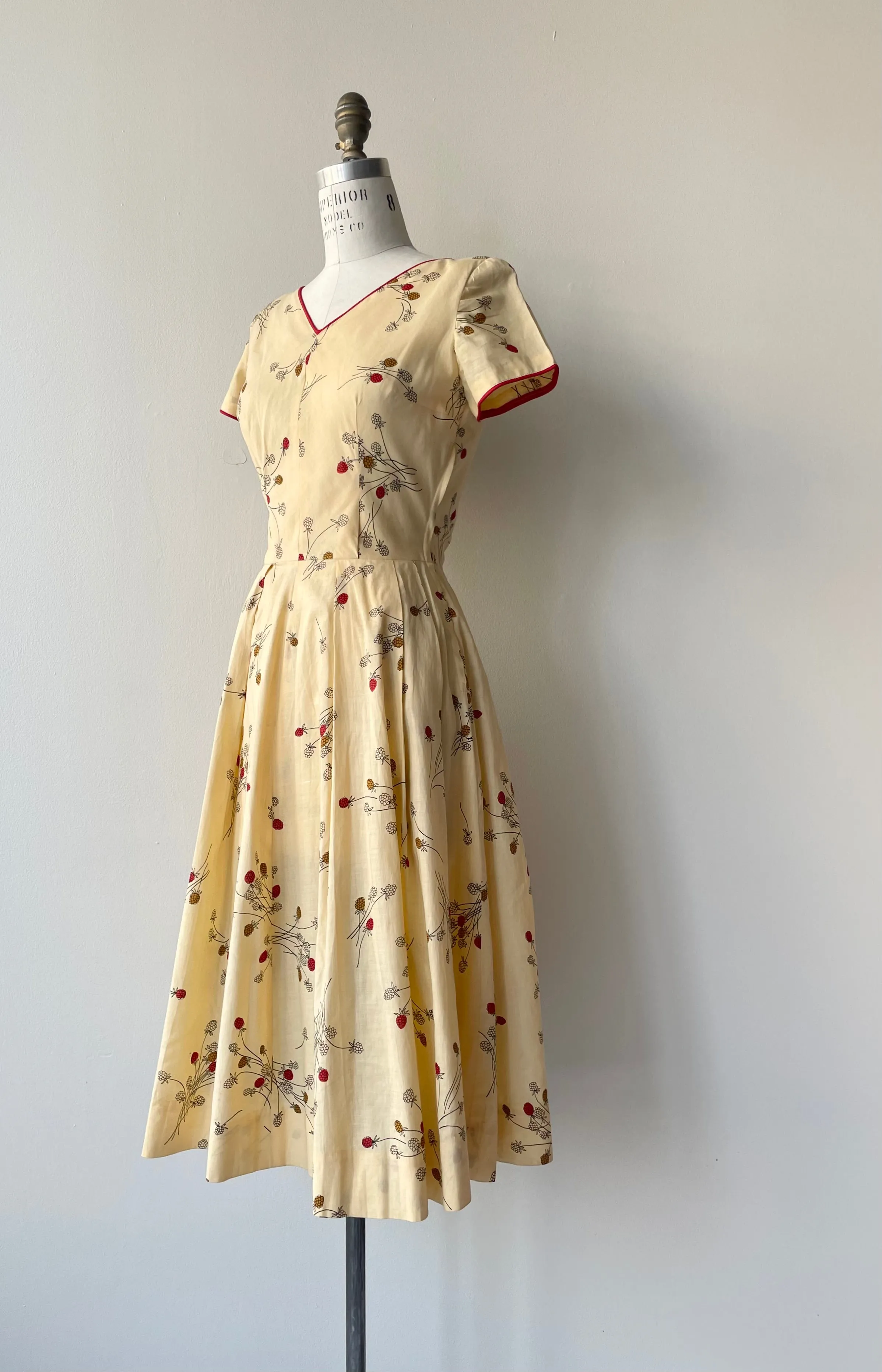 Raspberry Patch Dress | 1950s