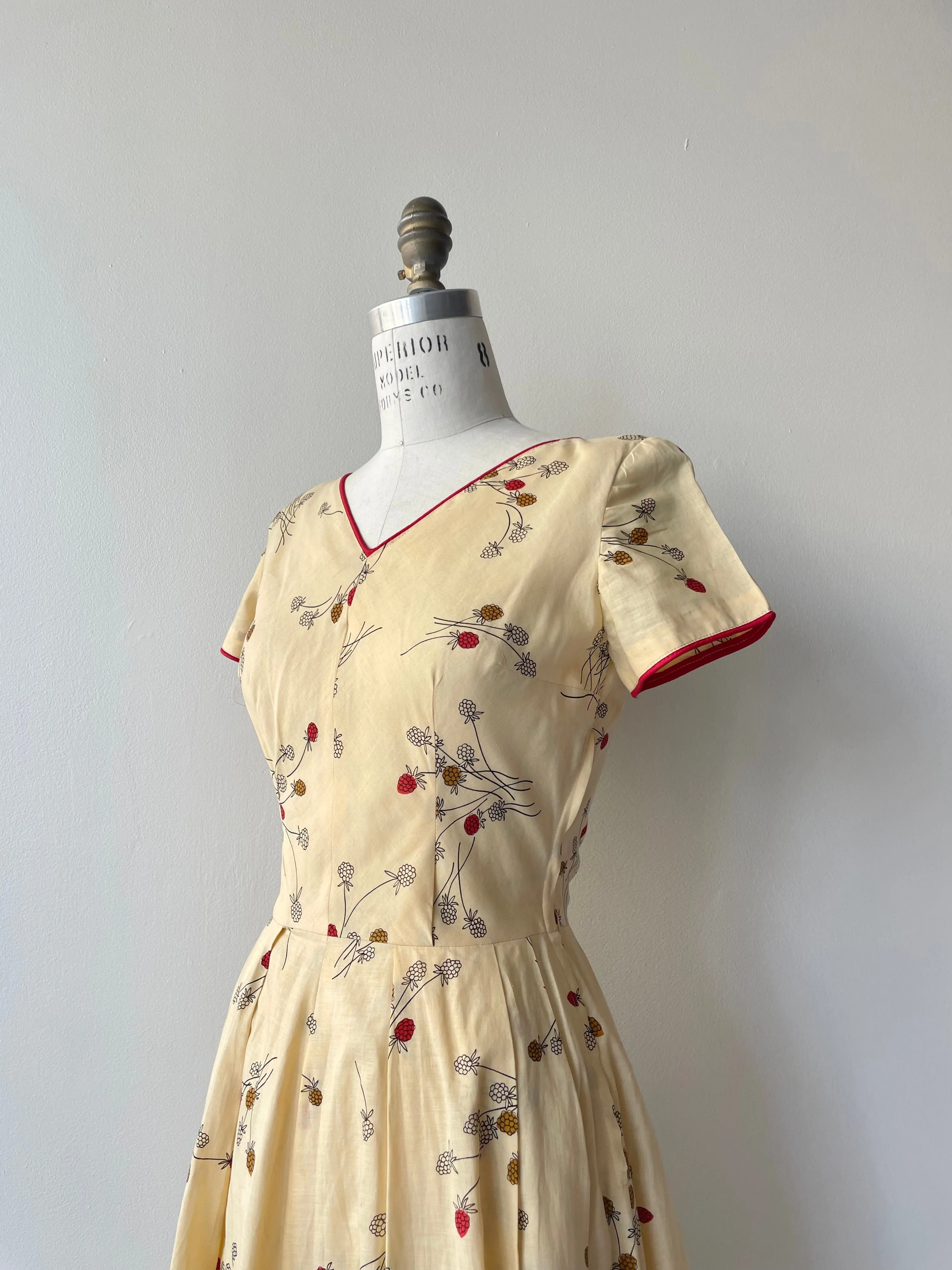 Raspberry Patch Dress | 1950s