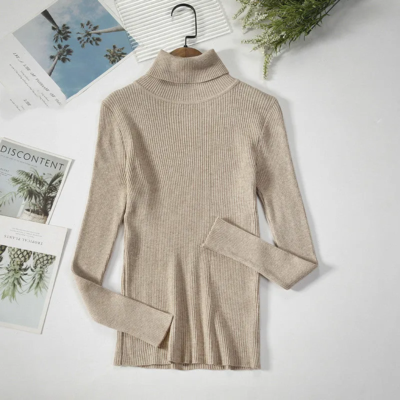 Strip Knit Pullover Turtleneck Sweater